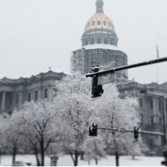 Meet your Posher, Annie - Picture 1 of 1